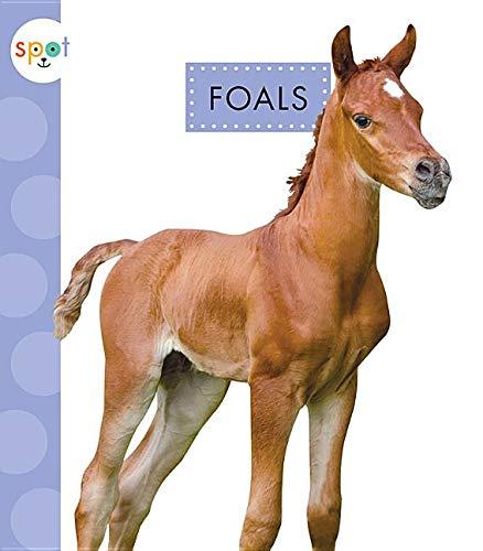 Algopix Similar Product 20 - Foals (Spot Baby Farm Animals)