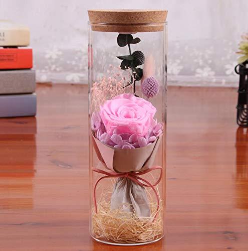 Algopix Similar Product 3 - Zhoyea Durable Flower Glass Tube