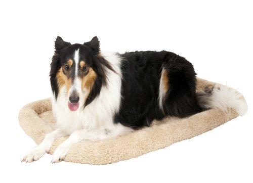Algopix Similar Product 19 - Aspen Pet Bolster Style Kennel Mat,