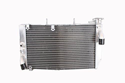 Algopix Similar Product 20 - OPL HPRM003 Aluminum Radiator For Honda
