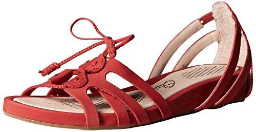 Algopix Similar Product 15 - 