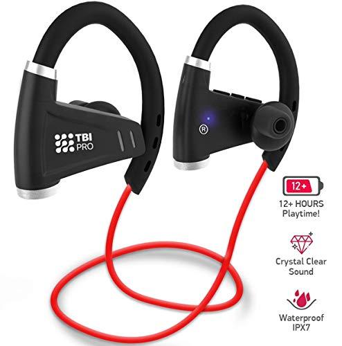 Algopix Similar Product 5 - FitPAWS Egg 85cm 335H 42L Blue