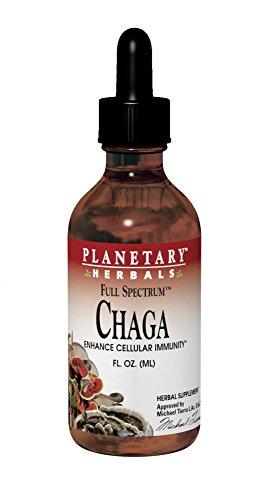 Algopix Similar Product 9 - Full Spectrum Chaga Liquid Extract 2