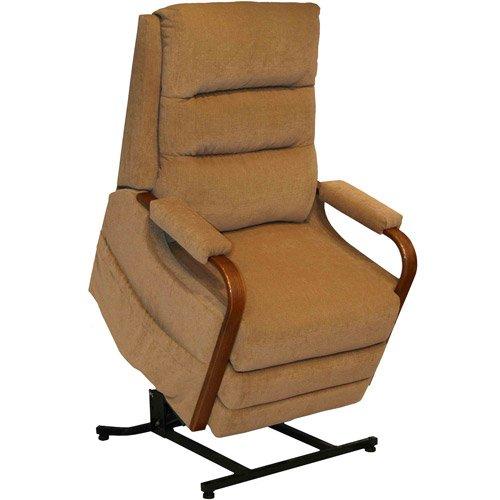 Algopix Similar Product 20 - Quest Brooke Power Lift Recliner, Saddle