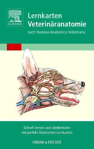 Algopix Similar Product 14 - Lernkarten VeterinaranatomieVeterinary