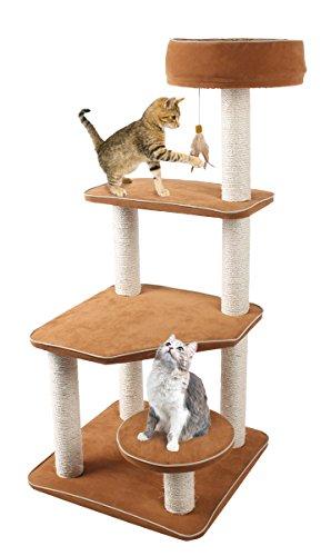 Algopix Similar Product 12 - 