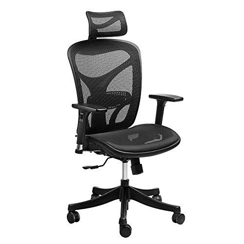 Algopix Similar Product 15 - SIEGES Ergonomic High Mesh Office