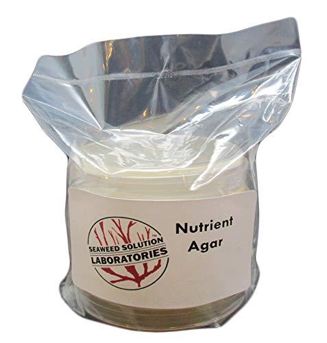 Algopix Similar Product 14 - Nutrient Agar  Sterilized  5 100mm x