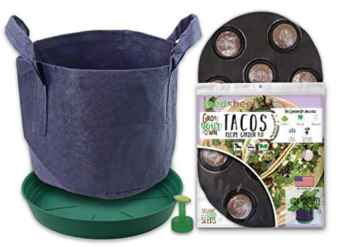 Algopix Similar Product 6 - Seedsheet Grow Your Own Tacos Container