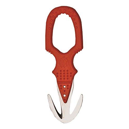 Algopix Similar Product 17 - 