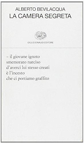 Algopix Similar Product 19 - La camera segreta