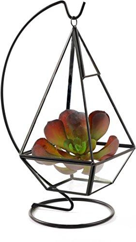 Algopix Similar Product 16 - Circleware 32507 Terraria Terrarium