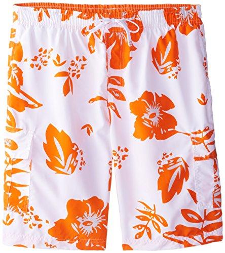 Algopix Similar Product 12 - 