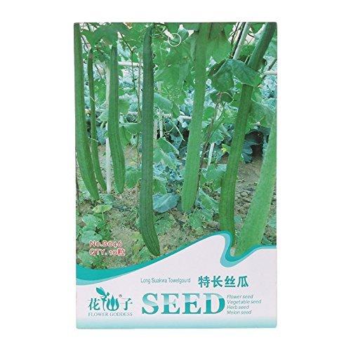 Algopix Similar Product 5 - 