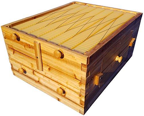 Algopix Similar Product 14 - 