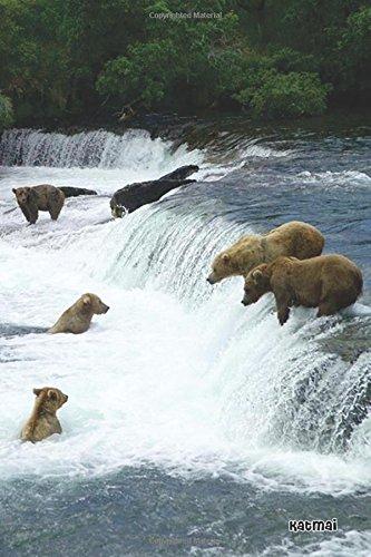 Algopix Similar Product 16 - 