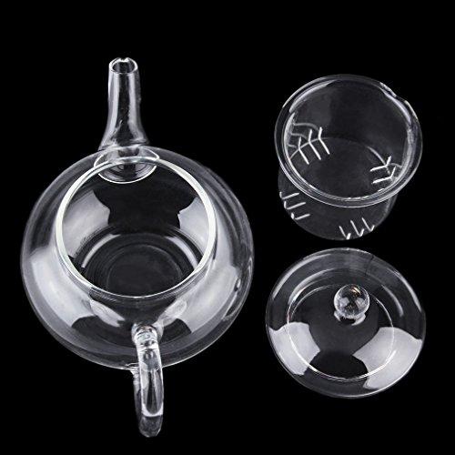 Algopix Similar Product 14 - Maexus Heat Resistan Glass Teapot With