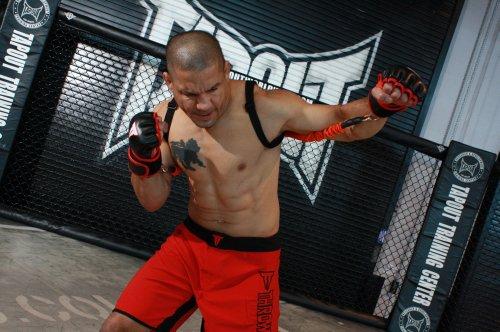 Algopix Similar Product 12 - Stroops MMA Cobra Pro With Cuffs 