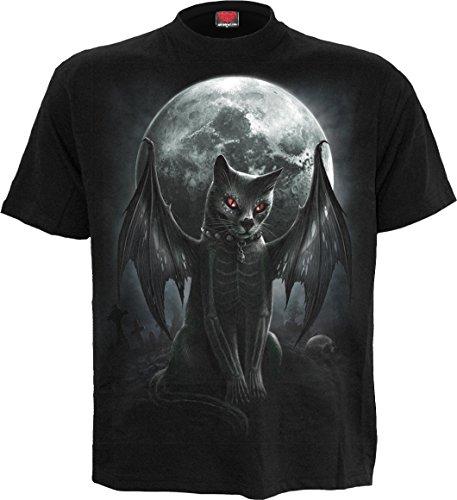 Algopix Similar Product 19 - 