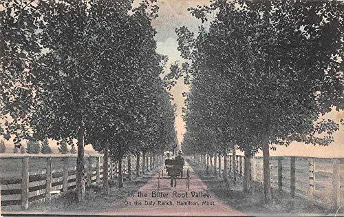 Algopix Similar Product 17 - Hamilton Montana Daly Ranch Bitter Root