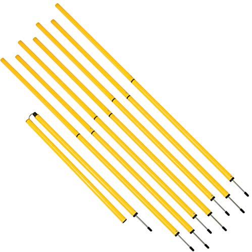 Algopix Similar Product 4 - Trademark Innovations Sports Coaching