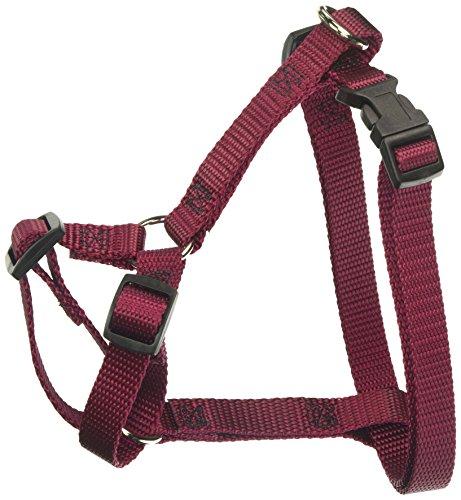 Algopix Similar Product 2 - 