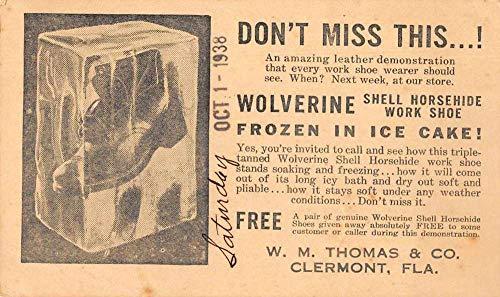 Algopix Similar Product 13 - Clermont Florida Wolverine Leather