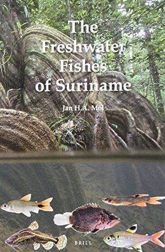 Algopix Similar Product 10 - The Freshwater Fishes of Suriname