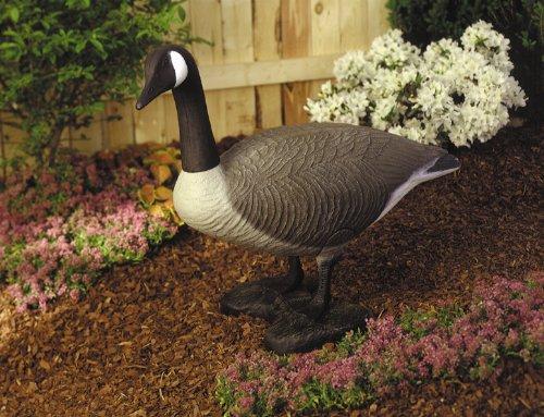 Algopix Similar Product 13 - Flambeau 5994LO Standing Canada Goose