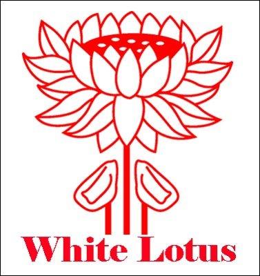 Algopix Similar Product 5 - Systematics and Evolution of the Genera