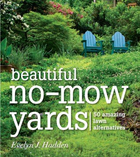 Algopix Similar Product 12 - Beautiful NoMow Yards 50 Amazing Lawn