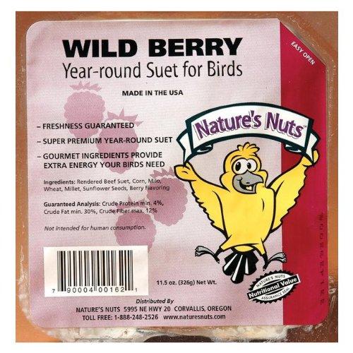 Algopix Similar Product 19 - Natures Nuts 00162 115 Oz Wild Berry