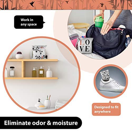 Algopix Similar Product 1 - Qendon Bamboo Charcoal Air Purifying