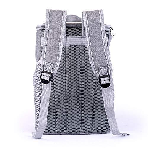 Algopix Similar Product 2 - Cooler Backpack Insulated Waterproof