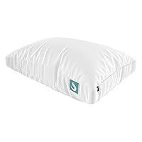 Algopix Similar Product 18 - Sleepgram Cooling Bed Pillow 
