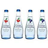 Algopix Similar Product 12 - Clearly Canadian Sparkling Flavored