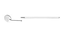 Algopix Similar Product 12 - AWSW Stainless Steel Tooth Pick Dental
