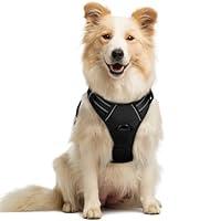 Algopix Similar Product 9 - rabbitgoo Dog Harness No Pull with 2