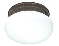 Algopix Similar Product 17 - NUVO SF76600 One Light Mushroom Flush
