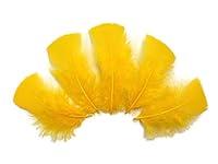 Algopix Similar Product 8 - 14 Lb  Golden Yellow Dyed Turkey