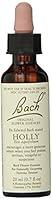 Algopix Similar Product 5 - Nelson Bach Flower Holly, 0.04 lb