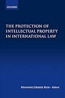 Algopix Similar Product 9 - The Protection of Intellectual Property