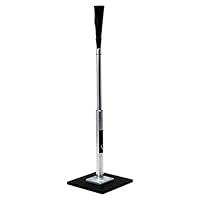 Algopix Similar Product 17 - Champion Sports Steel and Aluminum Stem