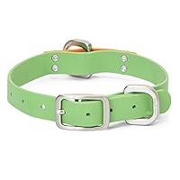 Algopix Similar Product 1 - WEST PAW Jaunts Dog Collar Small