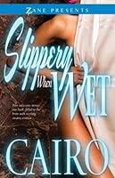 Algopix Similar Product 1 - Slippery When Wet A Novel Zane
