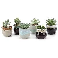 Algopix Similar Product 4 - T4U Small Ceramic Succulent Pots with
