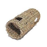 Algopix Similar Product 4 - Rosewood Boredom Breaker Small Animal