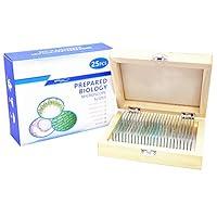 Algopix Similar Product 19 - 25 Prepared Microscope Slides for Kids