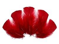 Algopix Similar Product 1 - 14 Lb  Red Dyed Turkey TBase Body