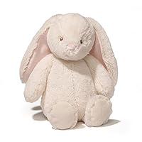 Algopix Similar Product 6 - Gund Baby Thistle Bunny Plush Cream